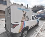 ¿Dónde están los autos de Protección Animal?