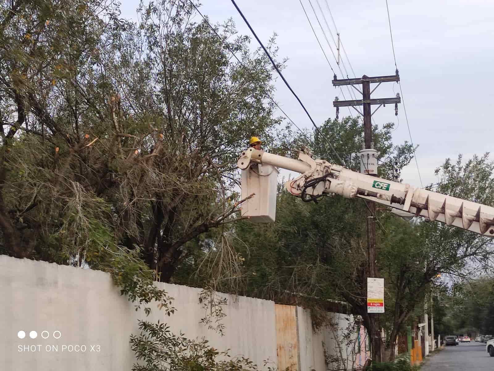 Libera CFE líneas eléctricas en planteles