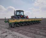 Bajas temperaturas aún no han causado daños al agro