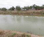 Colocación de trasmallos daña la fauna silvestre