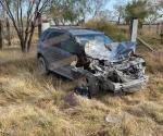 Chocan camionetas contra vacas