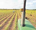 Enoja a los agricultores falta de agua para riego