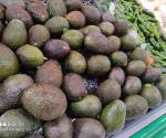 Llega aguacate a 120 pesos por kilo