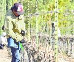 Casa Madero denuncia invasión de campesinos