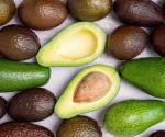 Aguacate, el fruto más querido y cotizado