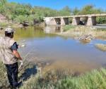 Investiga Profepa mortandad de peces