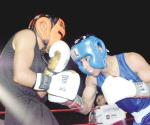 Grandes invitados en el torneo de boxeo amateur