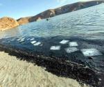 Alista Profepa denuncia por contaminación en playa de BCS