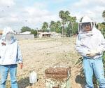 Rescatan biólogos un panal de abejas