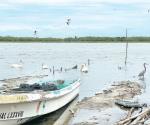 Encuentran muerto a pescador extraviado