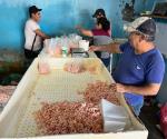 Baja la pesca en zona lagunaria