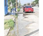 Reportan brotes de aguas negras