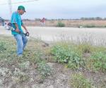 Combaten al dengue