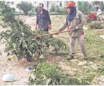 Suman 2 fraccionamientos  más con sus áreas verdes