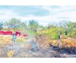 Repuntan incendios en baldíos