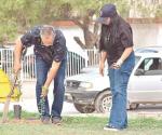 Reforestan áreas verdes