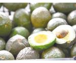 Afronta aguacate uso político en EU