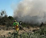 Incendio de pastizal obliga a desalojar primaria en Altamira