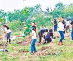 Reforestan orillas de Laguna Benito Juárez