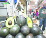 Reanudará EU inspección de aguacate en Michoacán