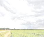 Tormenta queda a deber en el campo