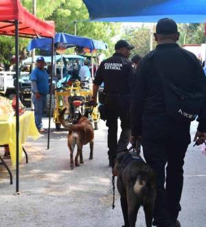 Perciben menos inseguridad en ciudades de Tamaulipas, según encuesta de Inegi