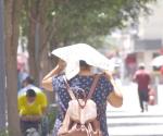 Amenaza por golpe de calor y escasez de agua