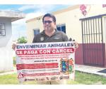 Piden a denunciar matanza de gatos