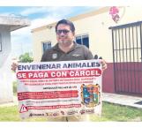 Piden a denunciar matanza de gatos