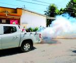 Anuncian combate intensivo contra transmisor del dengue