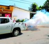 Anuncian combate intensivo contra transmisor del dengue