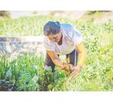 Entran mujeres a labores del campo