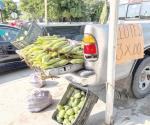 Por los suelos, precio del elote