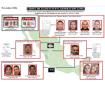 Golpean a estructura financiera del CJNG