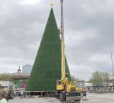 Reprueban reynosenses costo de pino navideño