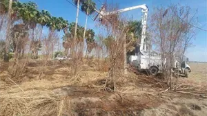 Incendios de postes de luz afectan suministro el&eacute;ctrico en zona rural