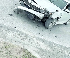 Proponen m&aacute;s control al ganado suelto en las carreteras