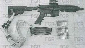 Sentencian a G&eacute;rman N por portar armas y cartuchos